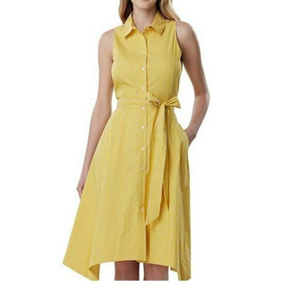 Tahari Arthur Levine pinstripe dress